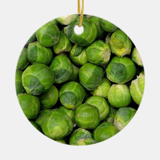 Veel ruwe Brusselse slangen Keramisch Ornament (Voorkant)