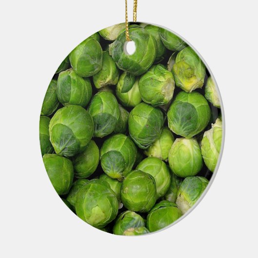 Veel ruwe Brusselse slangen Keramisch Ornament (Links)