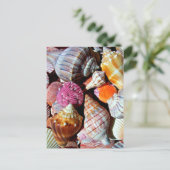 Veel Schelpen door het Zee - Nautical Print Briefkaart (Staand voorkant)