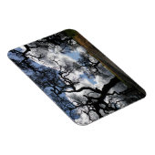 Veel Spooky Trees Magneet (Rechterzijde)