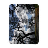 Veel Spooky Trees Magneet (Verticaal)