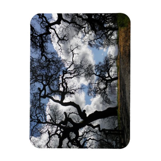 Veel Spooky Trees Magneet (Verticaal)