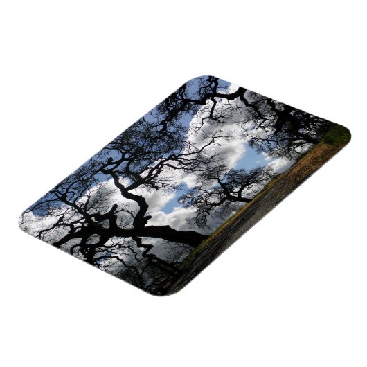 Veel Spooky Trees Magneet (Linkerzijde)