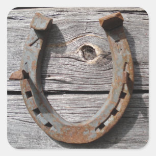 Veel succes Hoefijzer op houten hek Stickers