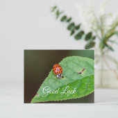  Veel succes met dit lieve lieveboompje! wenskaart Briefkaart (Staand voorkant)