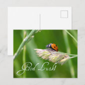 Veel succes met een lieve lieveboompje! briefkaart (Voorkant / Achterkant)