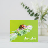 Veel succes met een lieve lieveboompje! briefkaart (Staand voorkant)