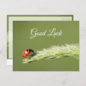 Veel succes met het leuke lieveboompje! ansichtkaa briefkaart (Voorkant / Achterkant)