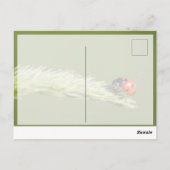 Veel succes met het leuke lieveboompje! ansichtkaa briefkaart (Achterkant)