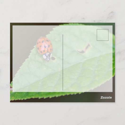 Veel succes met het leuke lieveboompje! ansichtkaa briefkaart (Achterkant)