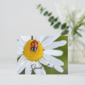 Veel succes met het leuke lieveboompje! ansichtkaa briefkaart (Staand voorkant)