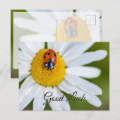 Veel succes met het leuke lieveboompje! ansichtkaa briefkaart (Voorkant / Achterkant)