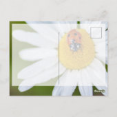 Veel succes met het leuke lieveboompje! ansichtkaa briefkaart (Achterkant)