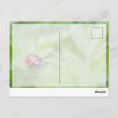 Veel succes met het leuke lieveboompje! briefkaart (Achterkant)