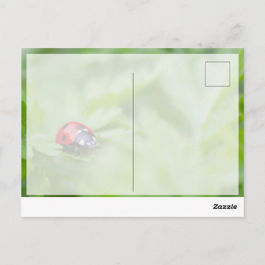 Veel succes met leuke kleine lieveheersbeestje! br briefkaart (Achterkant)