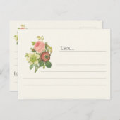 Veel te vertellen CC0131 Briefkaart (Voorkant / Achterkant)