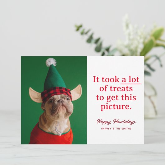 Veel traktaties Happy Howlidays Grappig huisdier Feestdagenkaart (Staand voorkant)