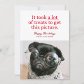 Veel Treats Happy Howlidays Grappig huisdier Feestdagenkaart (Voorkant)