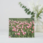 VEEL TULIPS BRIEFKAART (Staand voorkant)