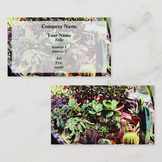 Veel variëteiten Cactus Visitekaartje (Voorkant / Achterkant)