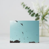 Veel vogels en een contra-indicatie briefkaart (Staand voorkant)