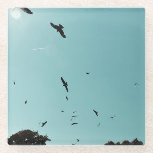 Veel vogels en een contra-indicatie glazen onderzetter