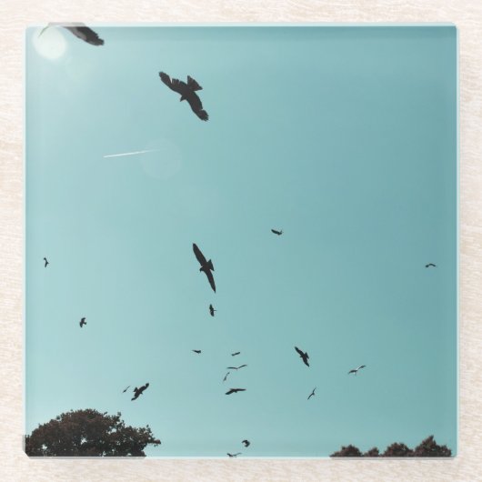 Veel vogels en een contra-indicatie glazen onderzetter (Voorkant)