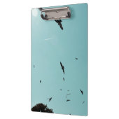 Veel vogels en een contra-indicatie klembord (Links)