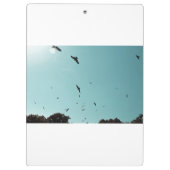 Veel vogels en een contra-indicatie klembord (Achterkant)