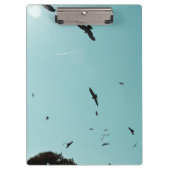 Veel vogels en een contra-indicatie klembord (Voorkant)