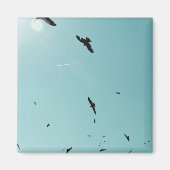 Veel vogels en een contra-indicatie magneet (Voorkant)