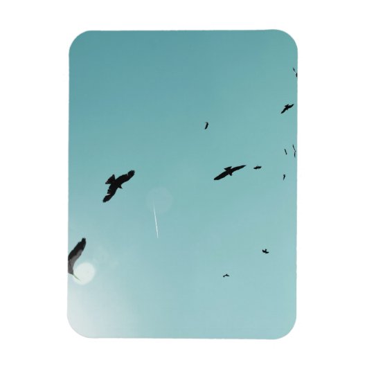 Veel vogels en een contra-indicatie magneet (Verticaal)