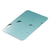 Veel vogels en een contra-indicatie magneet (Linkerzijde)