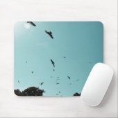 Veel vogels en een contra-indicatie muismat (Met muis)