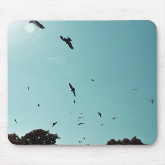 Veel vogels en een contra-indicatie muismat (Voorkant)