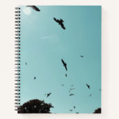 Veel vogels en een contra-indicatie notitieboek (Voorkant)