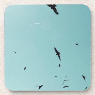 Veel vogels en een contra-indicatie onderzetter