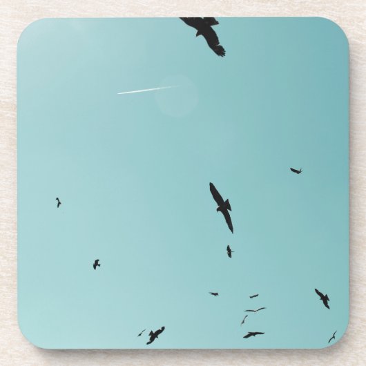 Veel vogels en een contra-indicatie onderzetter (Voorkant)