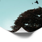 Veel vogels en een contra-indicatie poster (Hoek)