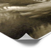 Veel whiskers poster (Hoek)