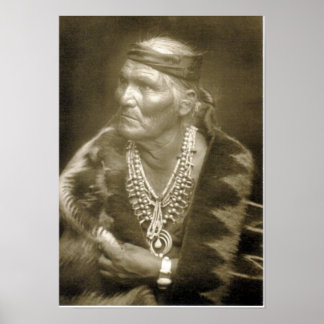 Veel whiskers poster