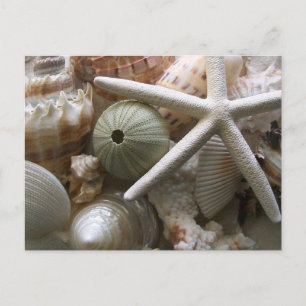 Veel zeehells afdrukken briefkaart