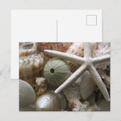 Veel zeehells afdrukken briefkaart (Voorkant / Achterkant)