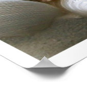 Veel zeehells afdrukken poster (Hoek)