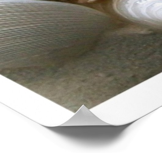 Veel zeehells afdrukken poster (Hoek)