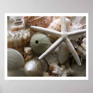 Veel zeehells afdrukken poster