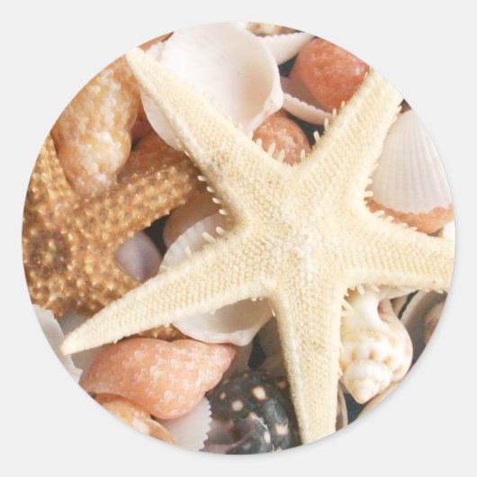 Veel zeeschelpen ronde sticker (Voorkant)