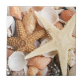 Veel zeeschelpen tegeltje (Voorkant)