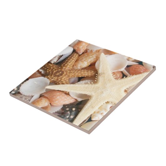 Veel zeeschelpen tegeltje (Zijkant)