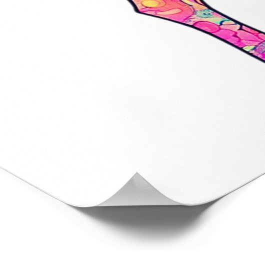 Veelkleurige frolicking cat poster (Hoek)